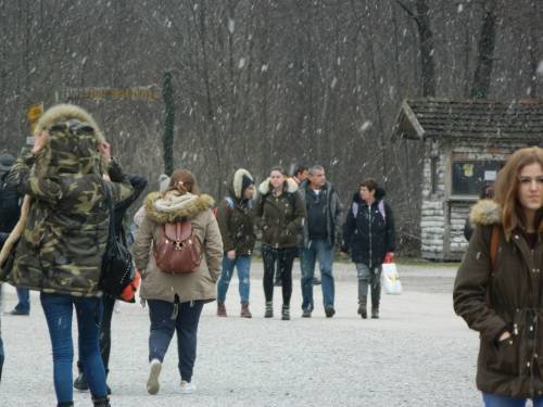 Šurkovac 14. 01. 2018.