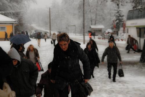 Šurkovac 22. 11. 2015.