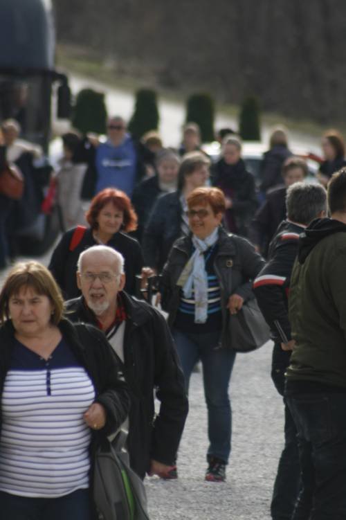 Šurkovac 10.3.2019.