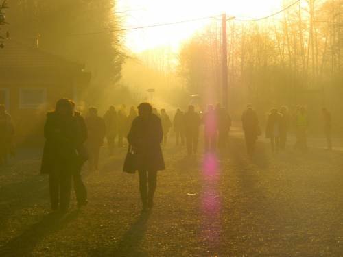 Šurkovac 20. i 21. 12. 2014.