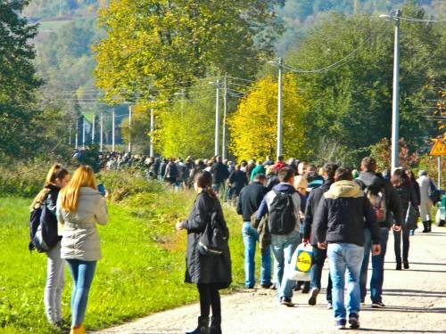 Šurkovac 25. 10. 2015.