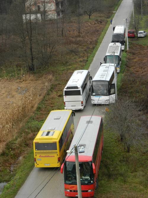 Šurkovac 13. 11. 2016.