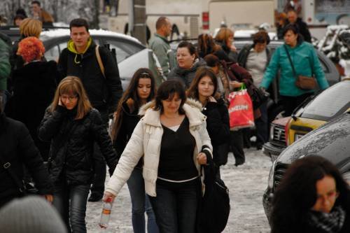 Šurkovac 22. 11. 2015.