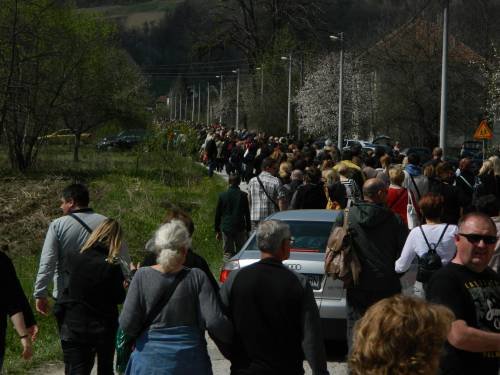 Cvjetnica, Šurkovac 2017.