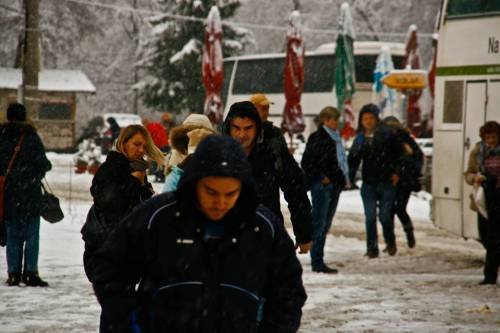 Šurkovac 22. 11. 2015.