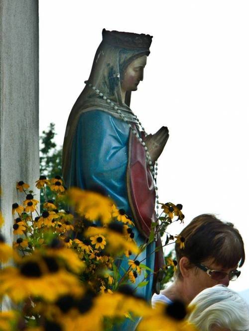 Proslava Velike Gospe u Šibovima