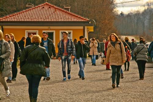 Šurkovac 20. i 21. 02. 2016.