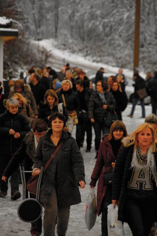 Šurkovac 22. 11. 2015.