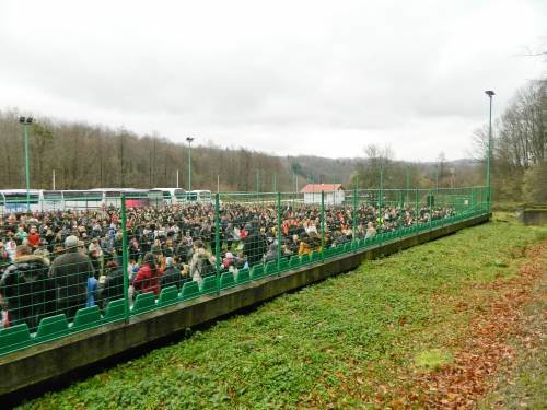 Šurkovac 19. 11. 2017.