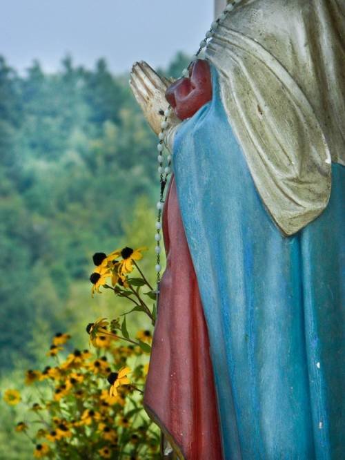 Proslava Velike Gospe u Šibovima