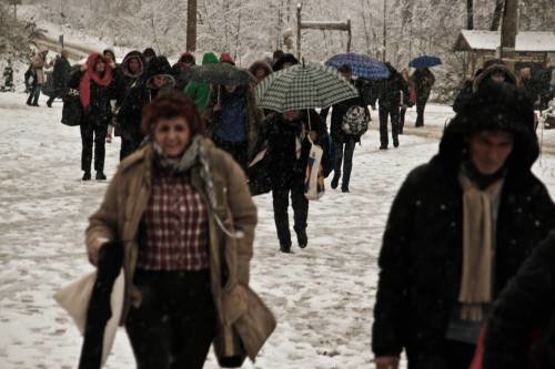 Šurkovac 22. 11. 2015.