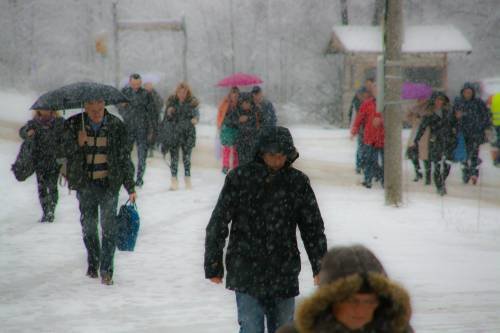 Šurkovac 22. 11. 2015.