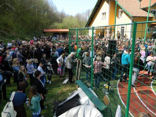 Cvjetnica, Šurkovac 2017.