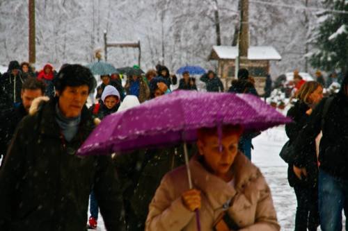 Šurkovac 22. 11. 2015.