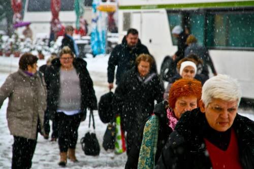 Šurkovac 22. 11. 2015.