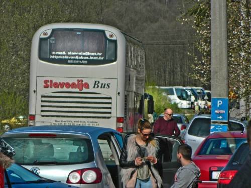 Cvjetnica, Šurkovac 2017.