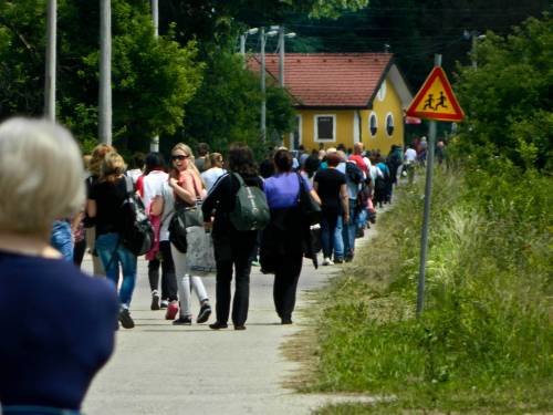 Šurkovac 31. 05. 2015.